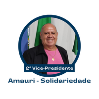 2º Vice-Presidente Amauri