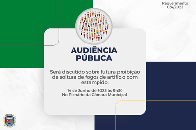 Audiência Pública